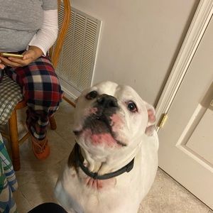 Meet your Posher, Dan